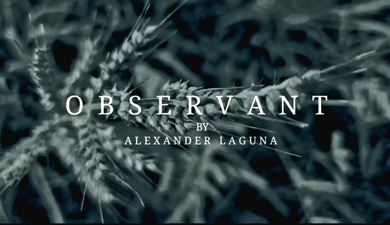 Alexander Laguna - Observant