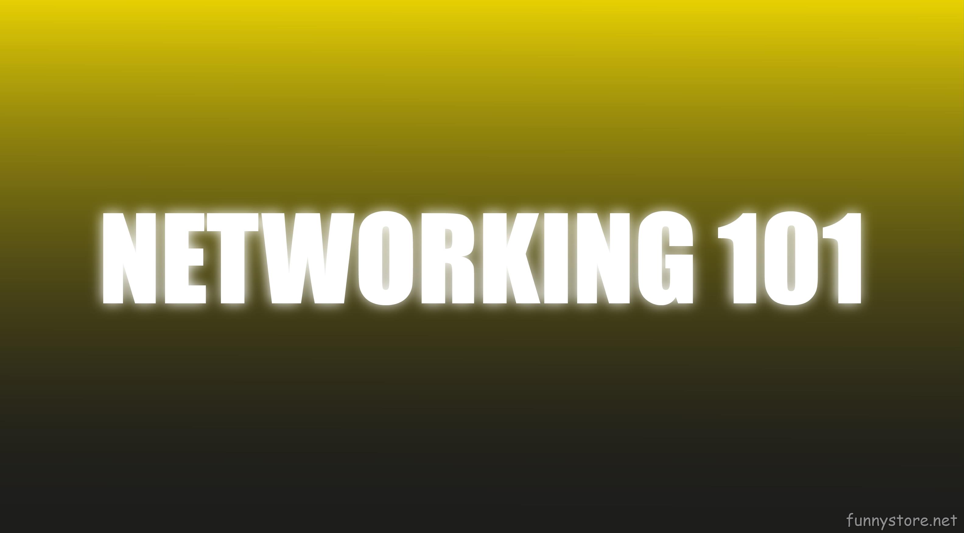 (image for) Craig Petty - Networking 101 (Netrix)