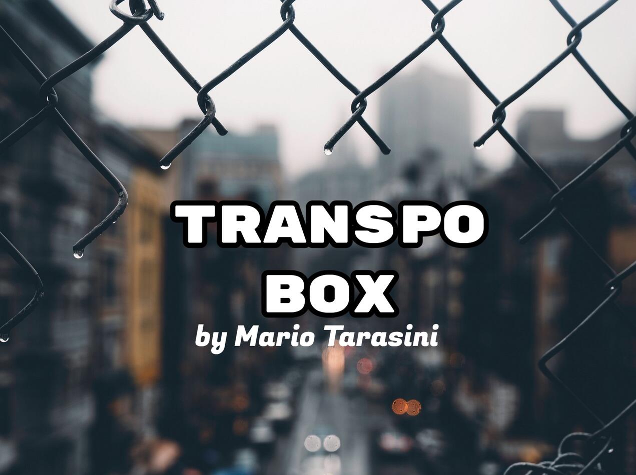 Mario Tarasini - Transpo Box