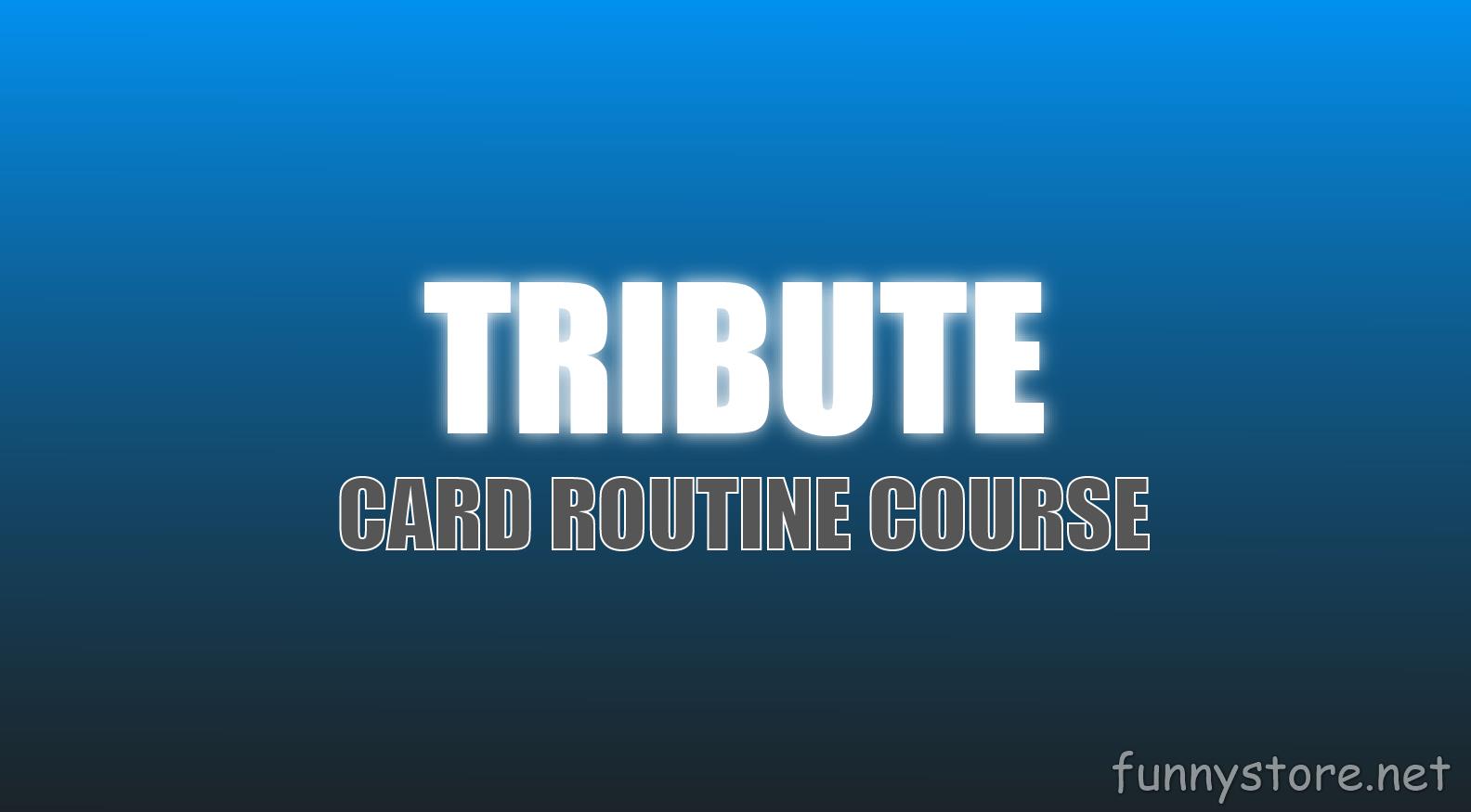 (image for) Christian Grace - Tribute (Netrix)