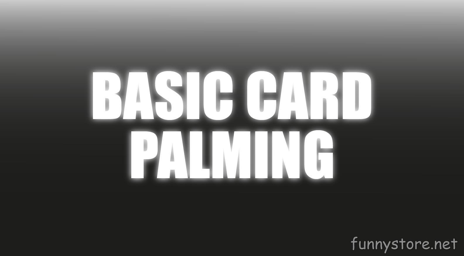 (image for) Craig Petty - Basic Card Palming (Netrix)
