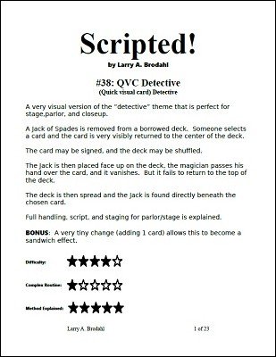 Larry Brodahl - Scripted #38: QVC Detective