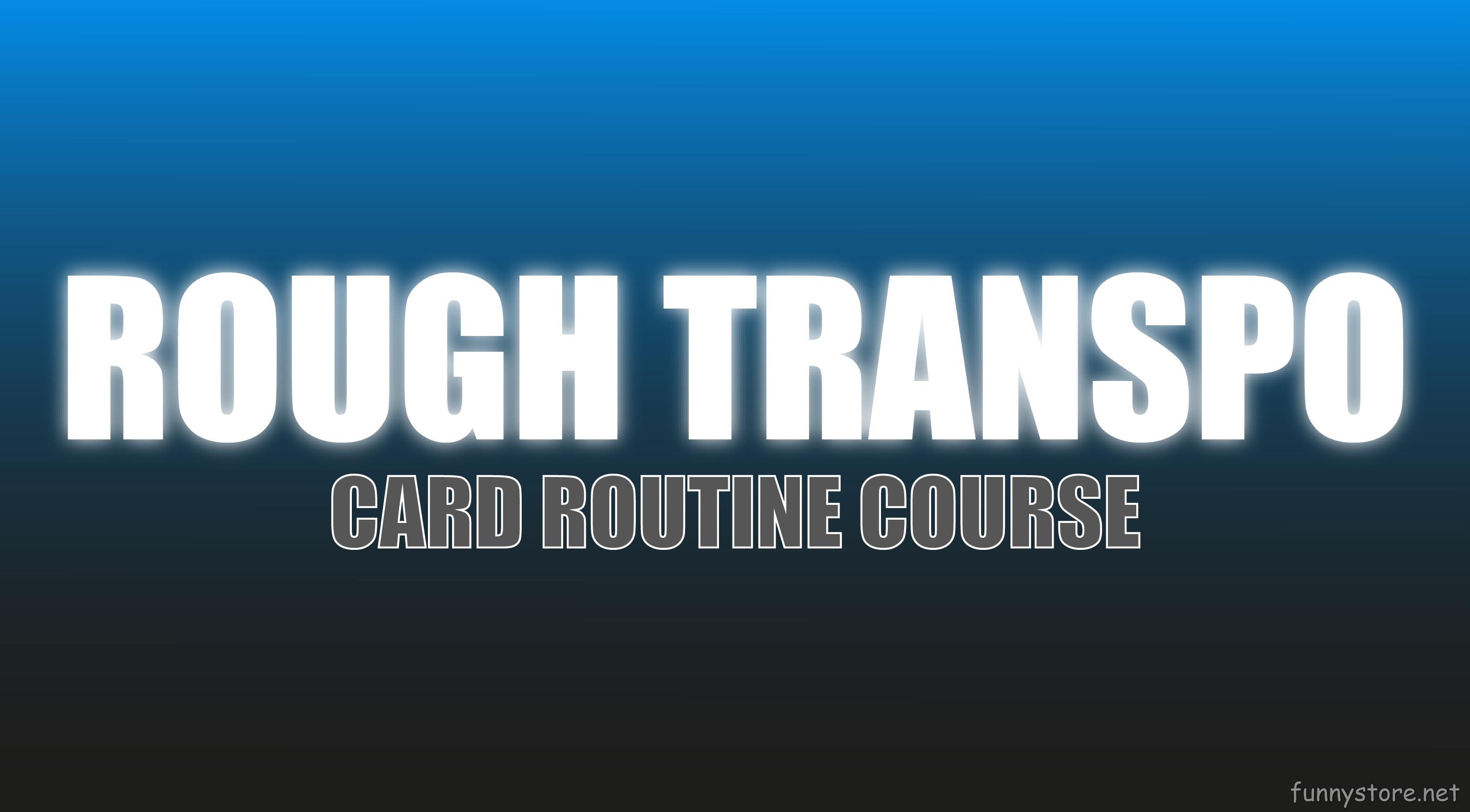(image for) Craig Petty - Rough Transpo (Netrix)