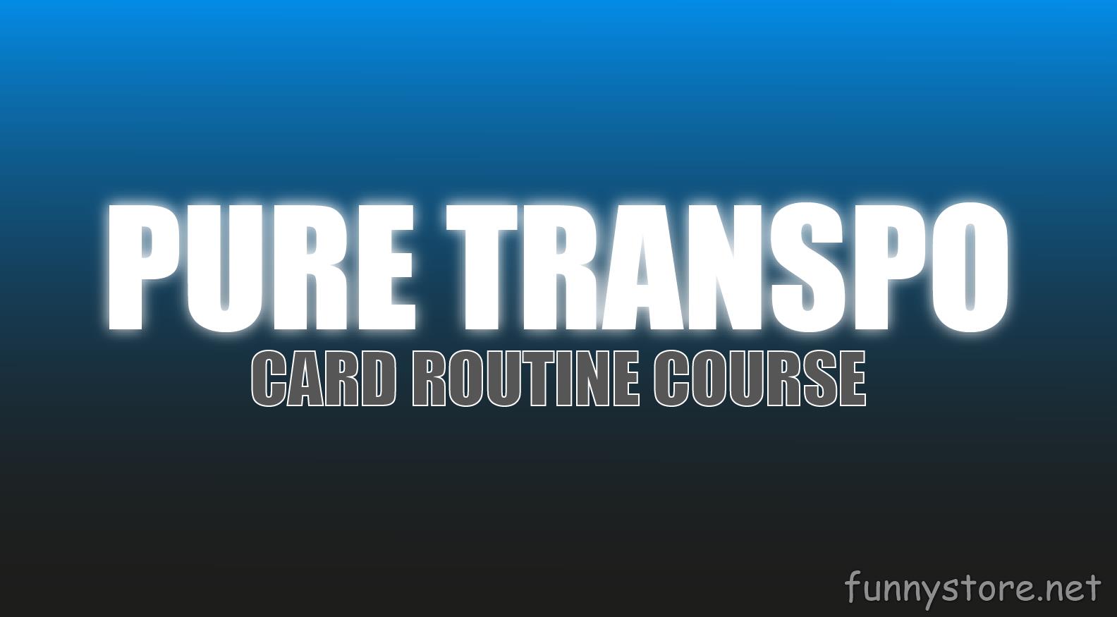 (image for) Craig Petty - Pure Transpo (Netrix)