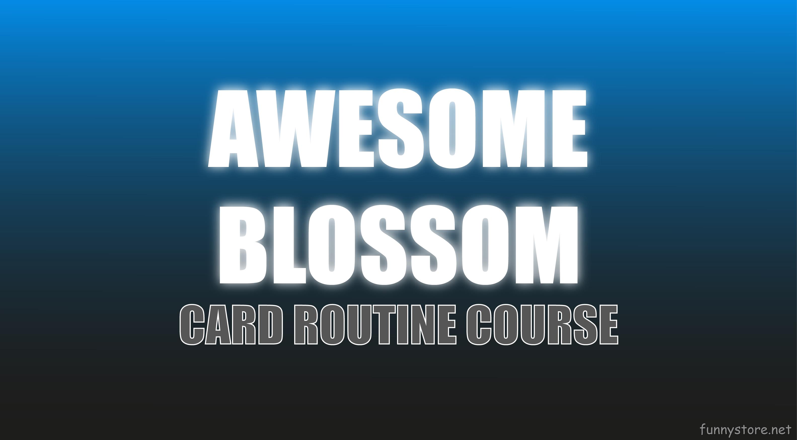(image for) Craig Petty - Awesome Blossom (Netrix)