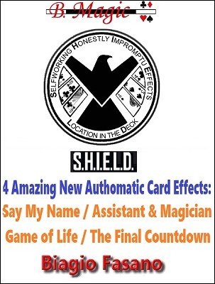 (image for) Biagio Fasano - SHIELD