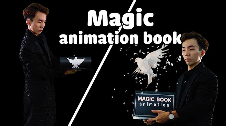 7 MAGIC - DOVE BOOK
