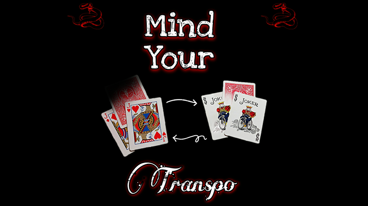 Viper Magic - Mind Your Transpo