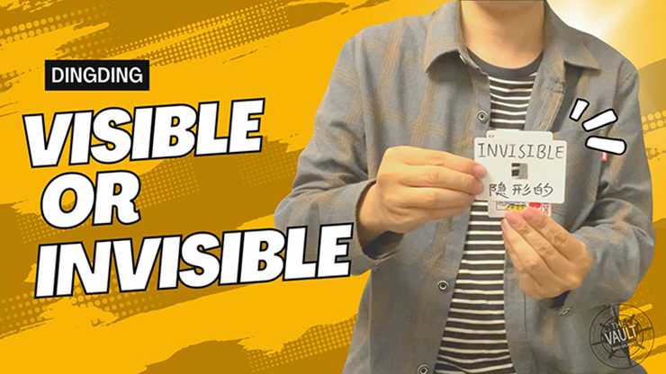 Dingding - The Vault - Visible or Invisible