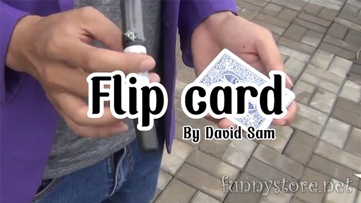 (image for) David Sam - Flip Card