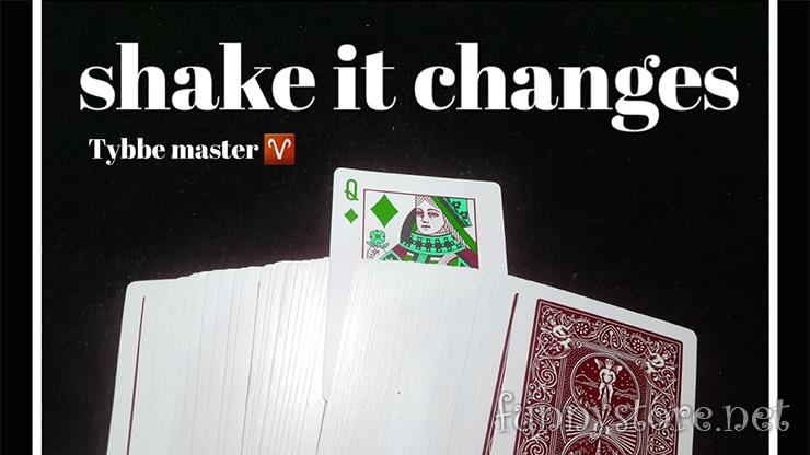 Tybbe Master - Shake it Change