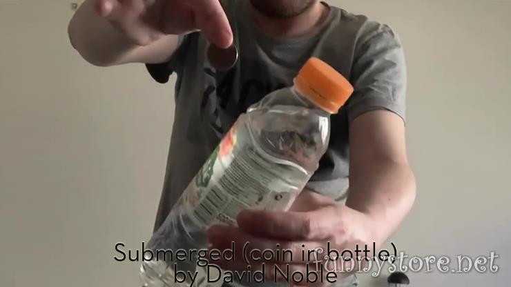 David Noble - Submerged (coin in bottle)