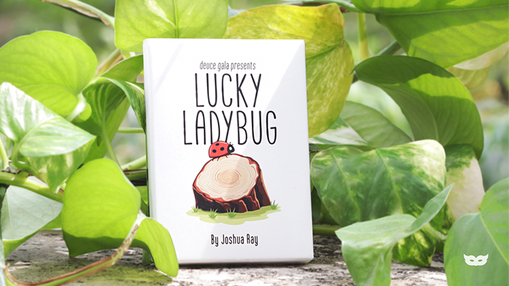 Joshua Ray & Deuce Gala Magic - Lucky Ladybug