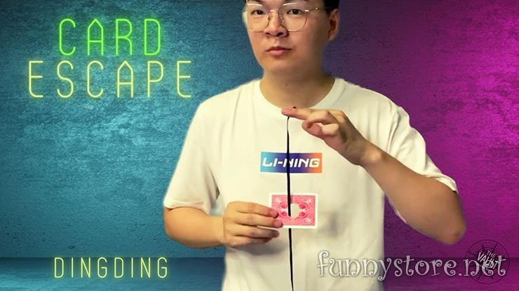 Dingding - The Vault - Card Escape