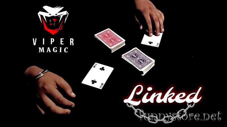 Viper Magic - Linked