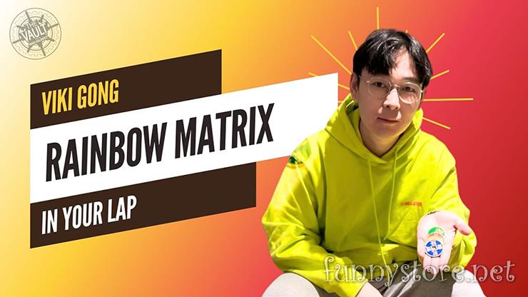 (image for) Viki Gong - The Vault - Rainbow Matrix on Lap