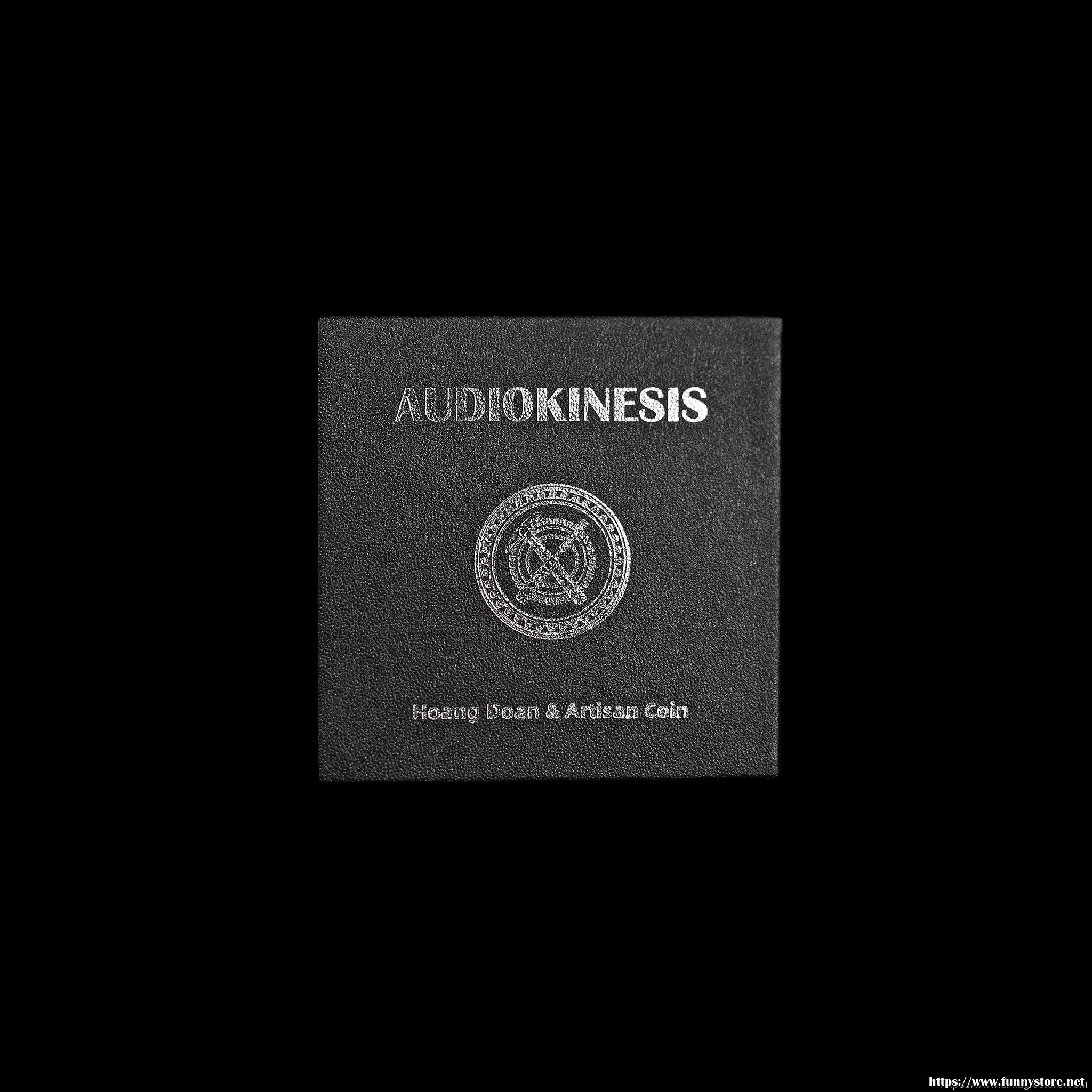 Hoang Doan Minh & Artisan Coin - Audiokinesis