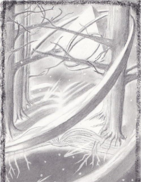 Tom Phoenix - The Book of Wonders