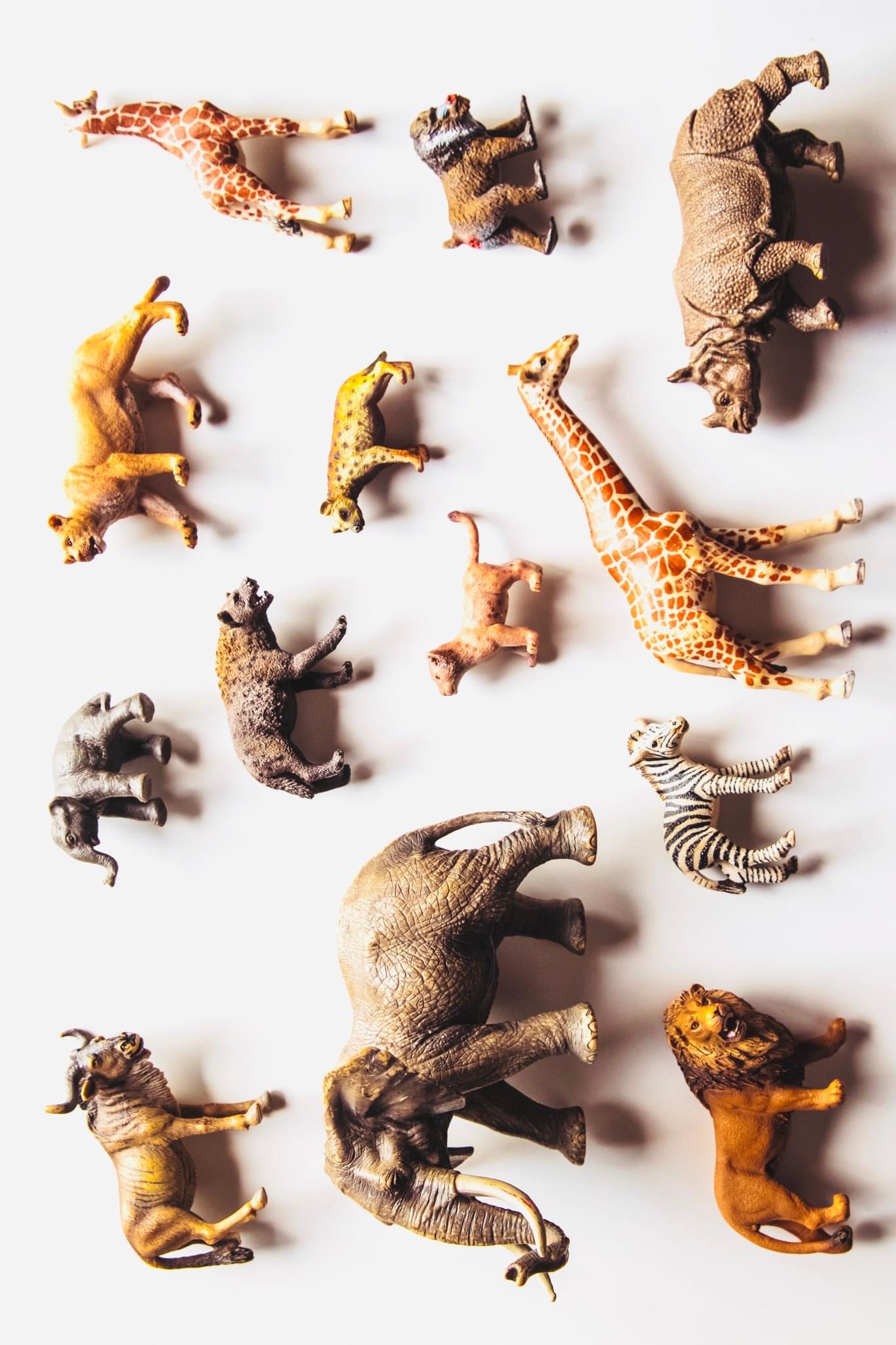 Fraser Parker - Noah's Ark - A Prop-less Animal Guess