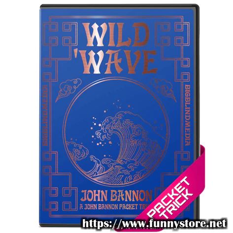 John Bannon - Wild Wave (Blackpool 2023)