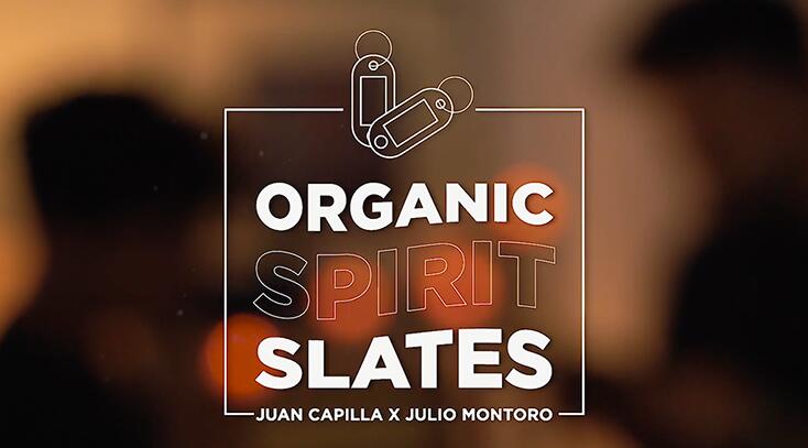 Juan Capilla and Julio Montoro - Organic Spirit Slates