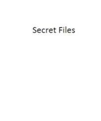 (image for) Vladimir Zyuzin - Secret Files