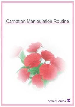 (image for) All-in-one Package - Carnation Manipulation Routine