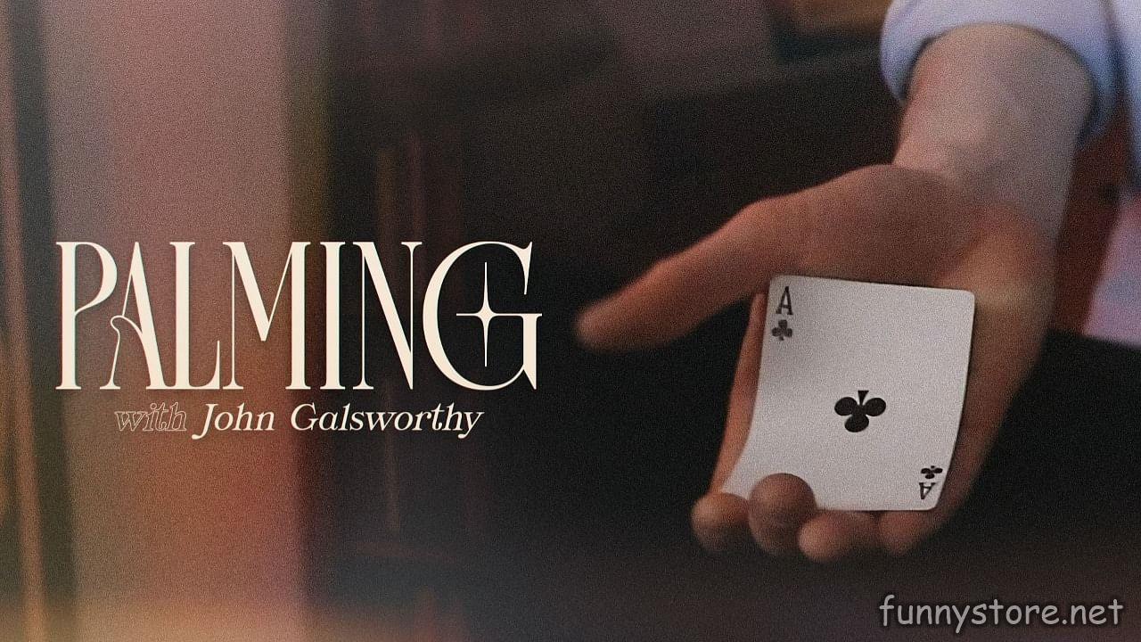 John Galsworthy - The Expert Palming Session