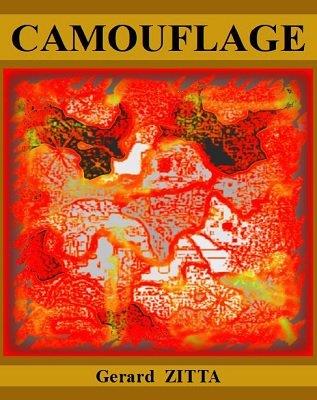 (image for) Gerard Zitta - Camouflage