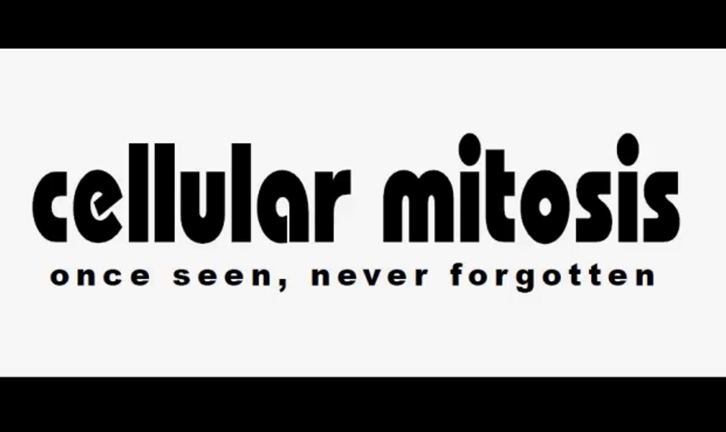 (image for) Docc Hilford - Cellular Mitosis Doccinar