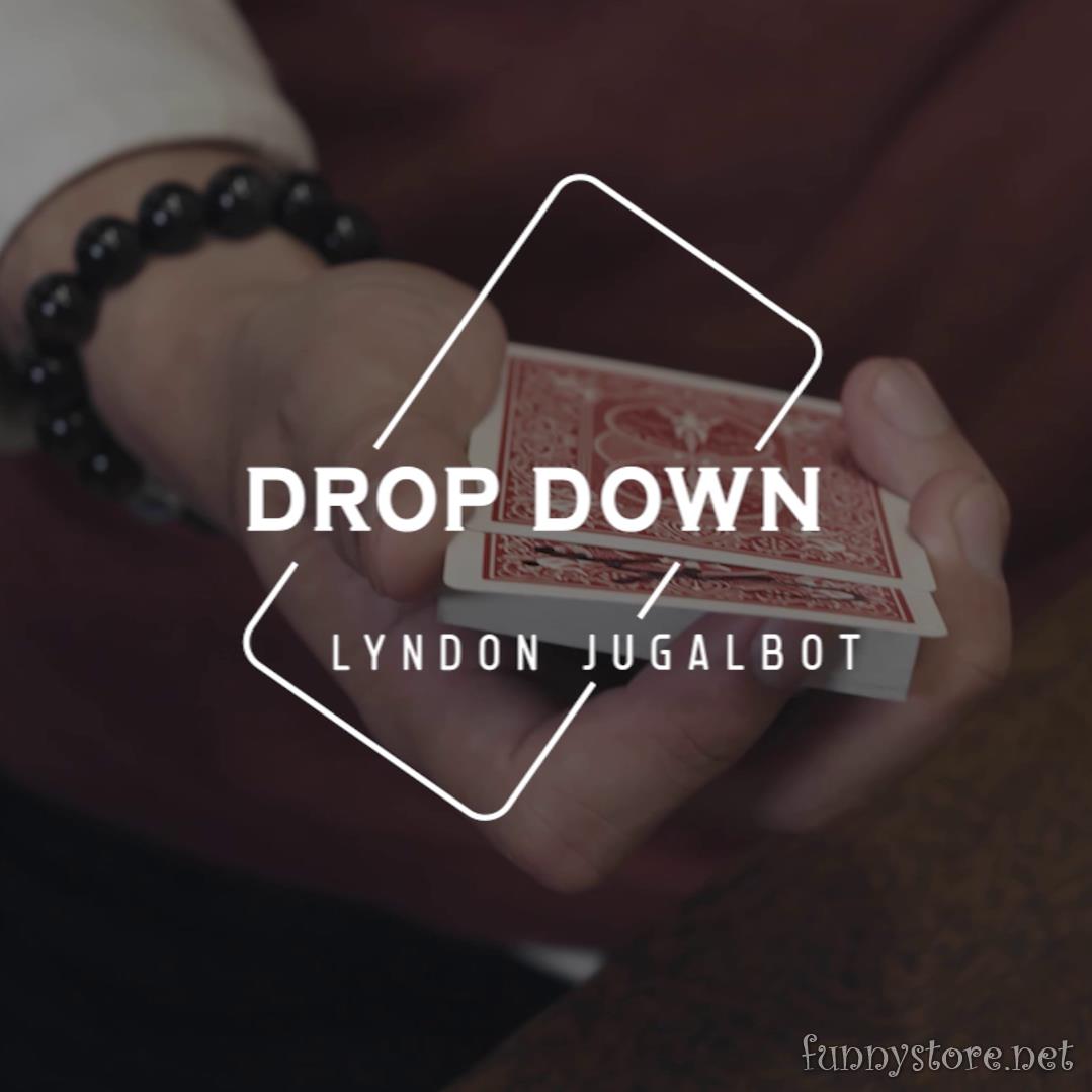 (image for) Lyndon Jugalbot - Drop Down (Skymember Presents)