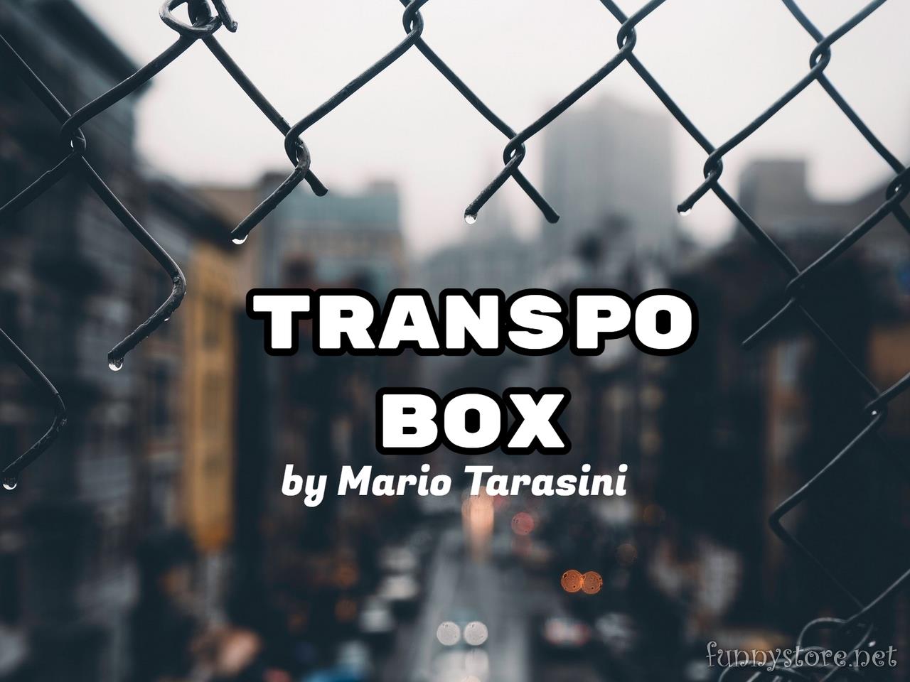 (image for) Mario Tarasini - Transpo Box