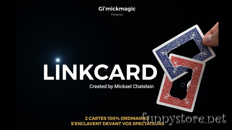 (image for) Mickael Chatelain - LinkCard (French)