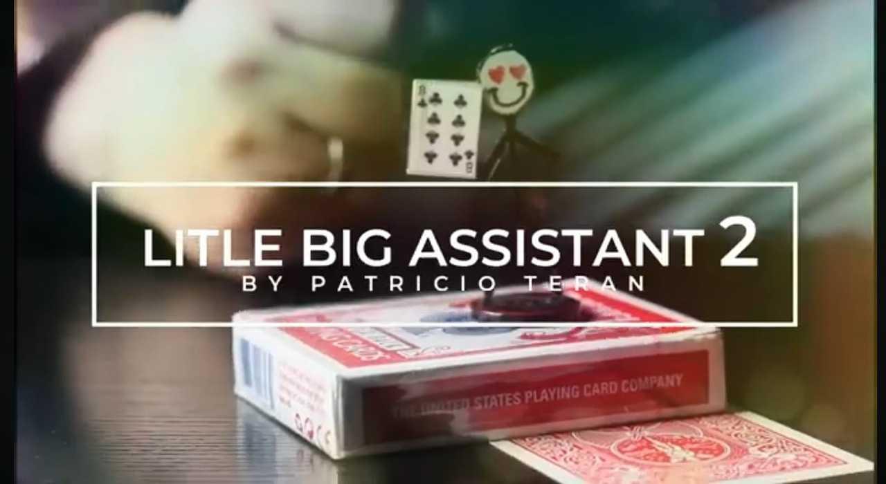 (image for) Patricio Teran - Little Big Assistant 2