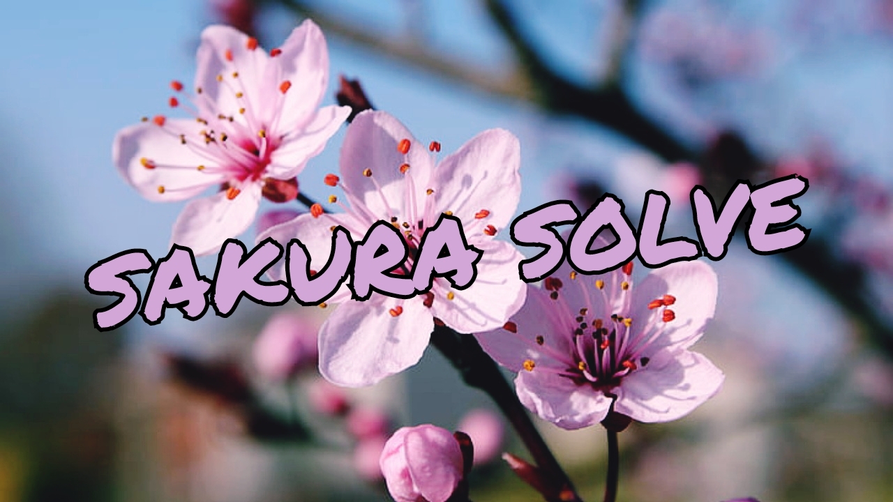 Cyril Hubert and JJ Team - SAKURA SOLVE