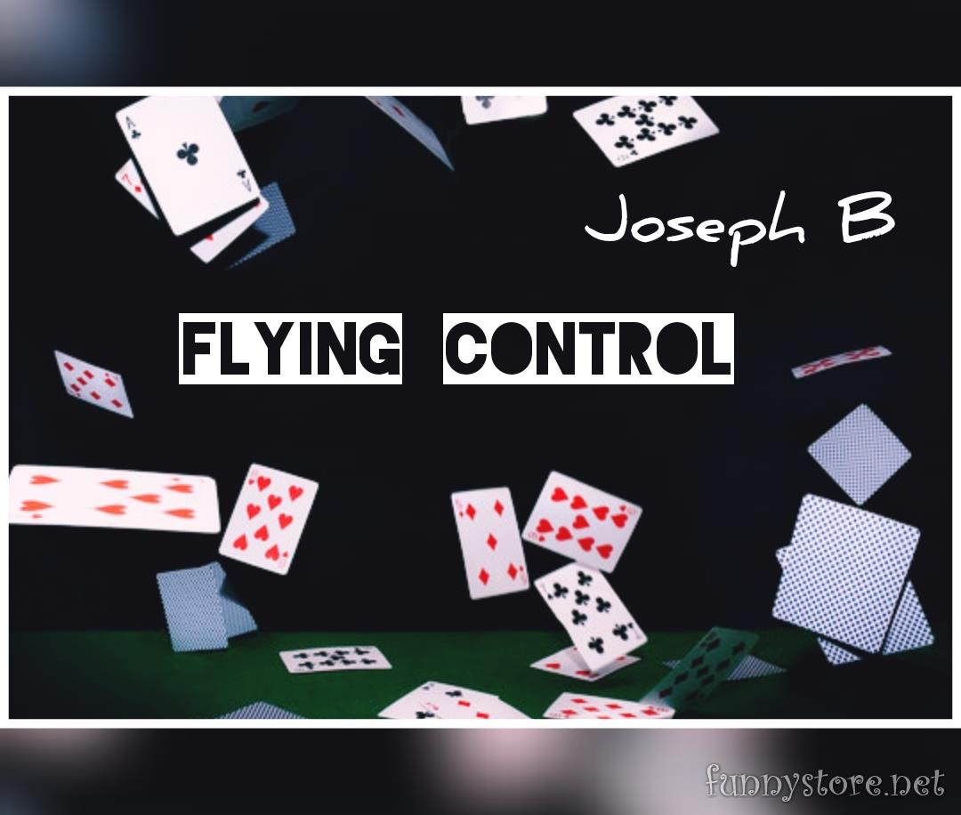 (image for) Joseph B - FLYING CONTROL