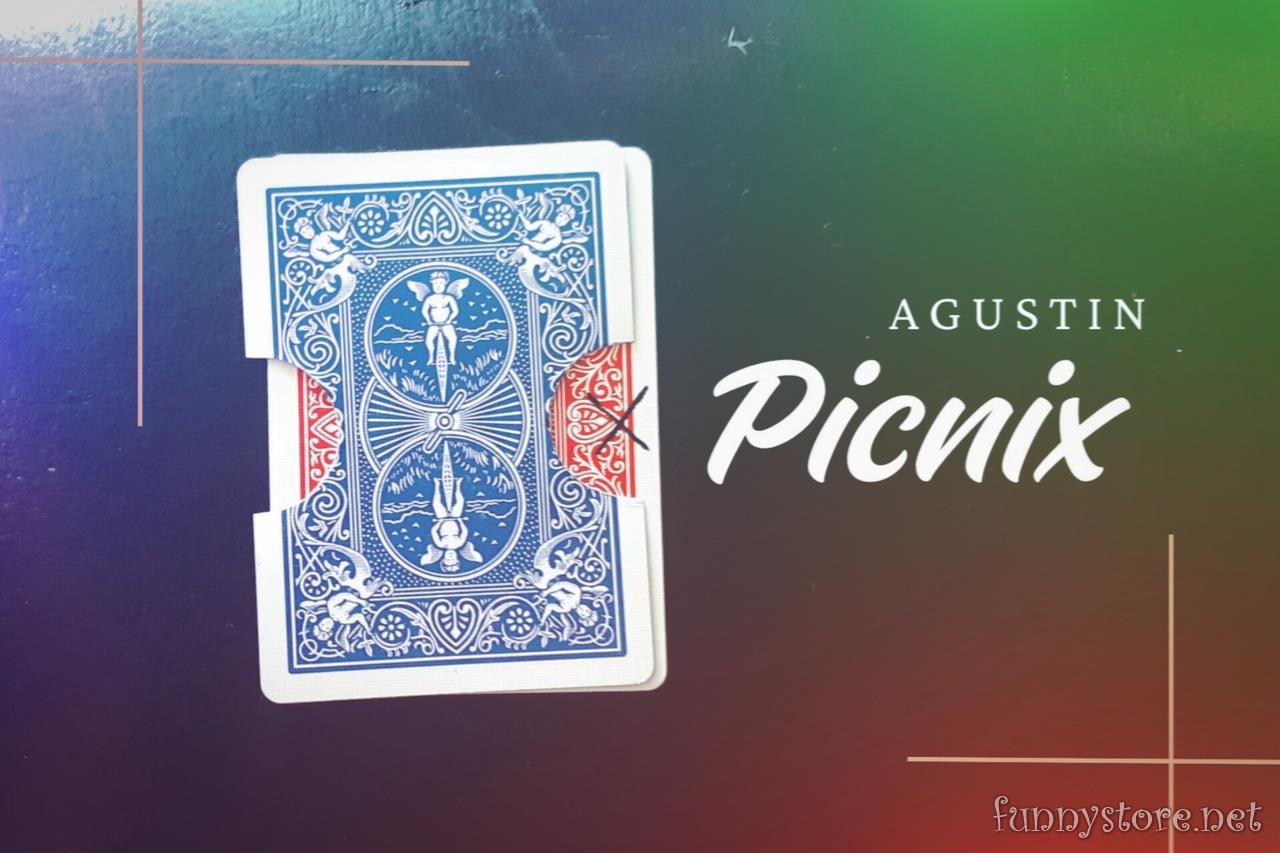 (image for) Agustin - Picnix