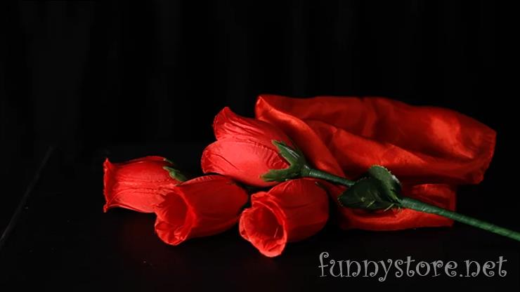 (image for) Bond Lee & Wenzi Magic - The Rose 2.0
