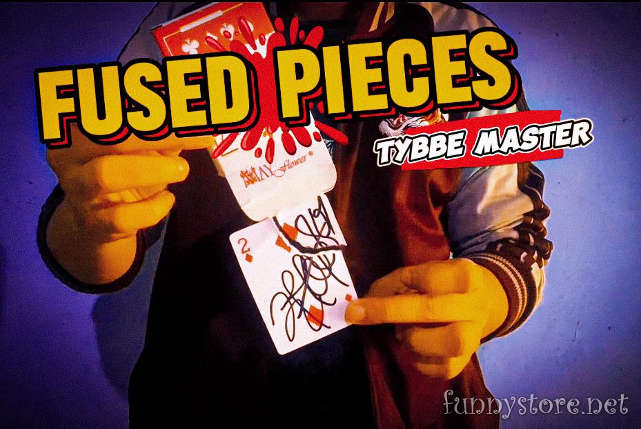 Tybbe master - Fused pieces