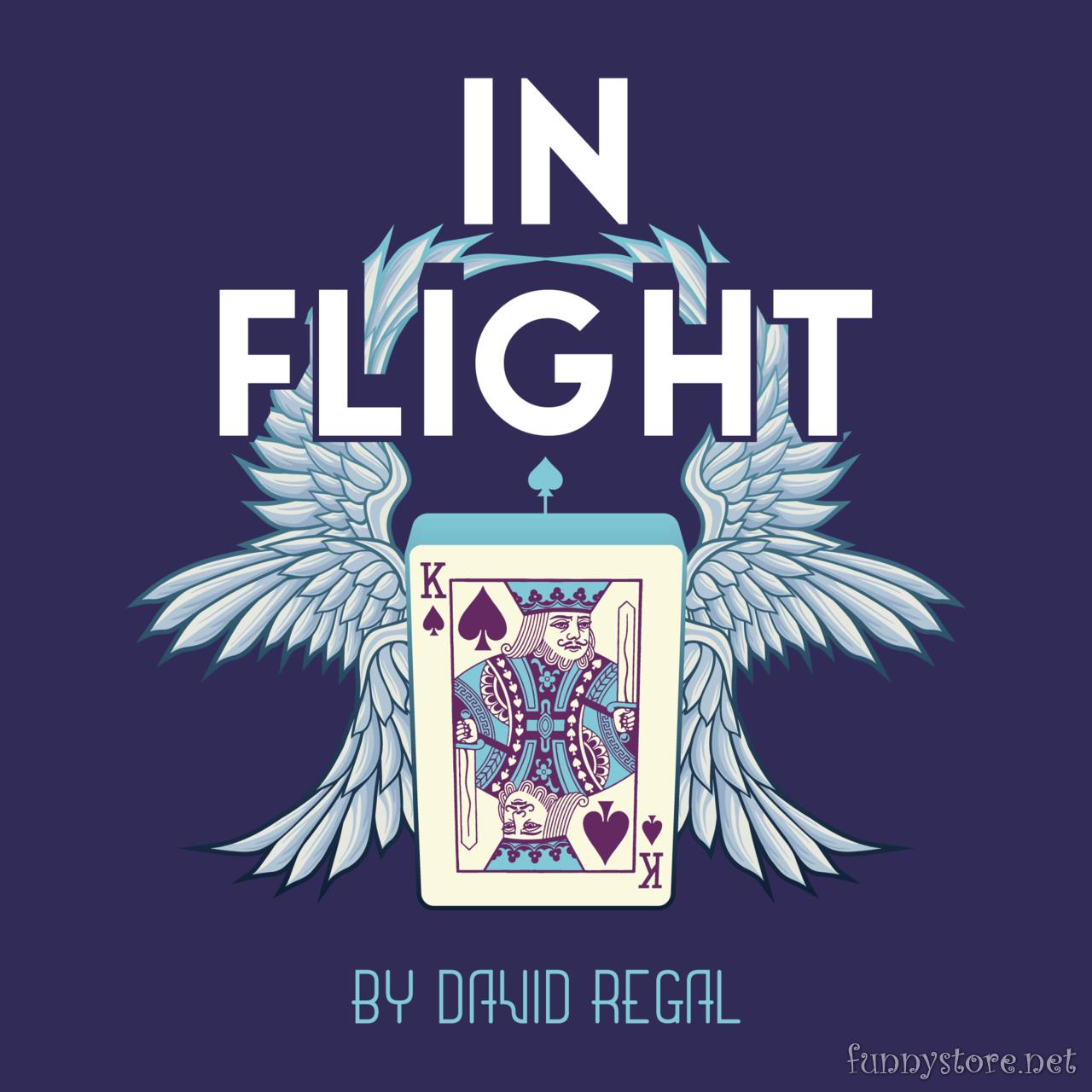 (image for) David Regal - In Flight