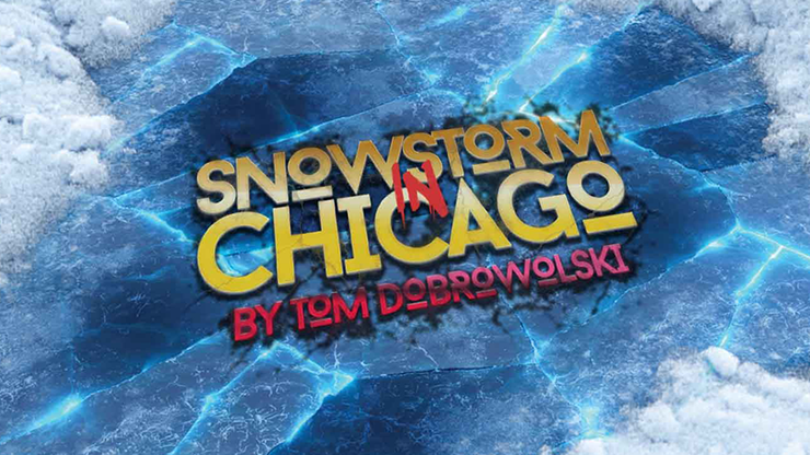 (image for) Tom Dobrowolski - Snowstorm In Chicago (Bigblindmedia Presents) (Video)