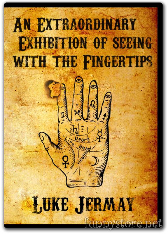 (image for) Luke Jermay - An Extraordinary Exhibition of Seeing with the Fingertips