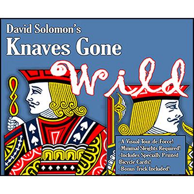 (image for) David Solomon - Knaves Gone Wild