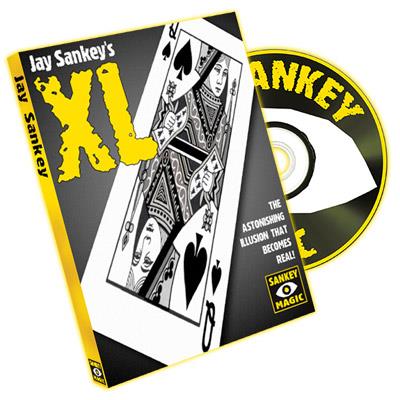(image for) Jay Sankey - XL