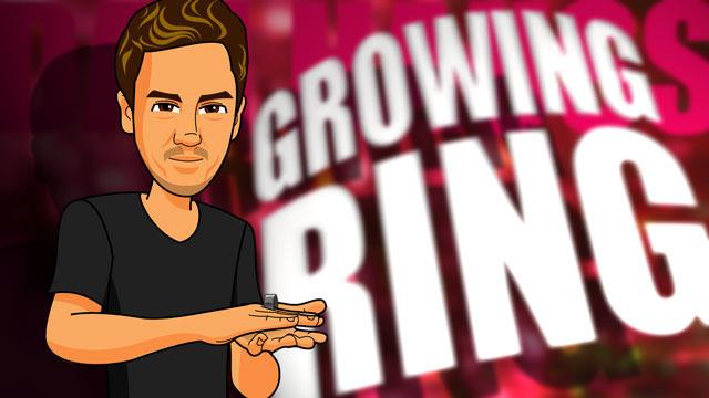 Dan Hauss - Growing Ring