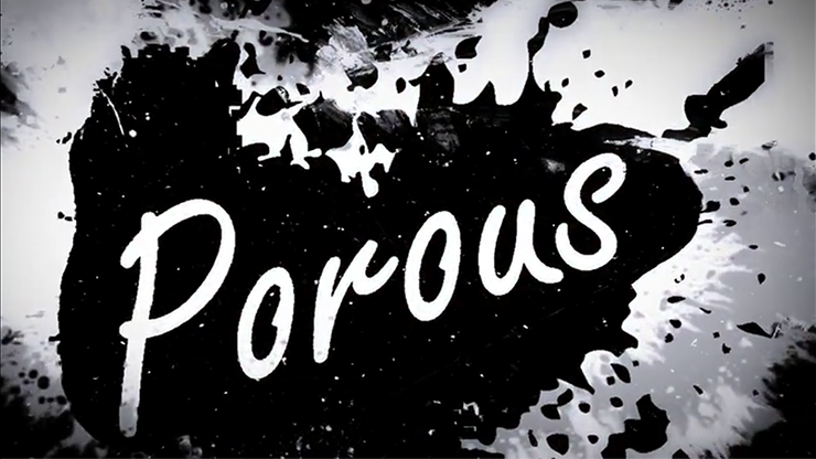 (image for) Seth Race - Porous