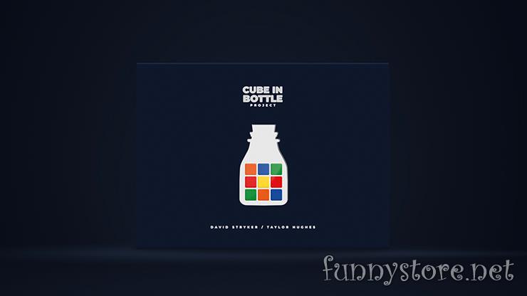 (image for) Taylor Hughes and David Stryker - Cube in Bottle Project