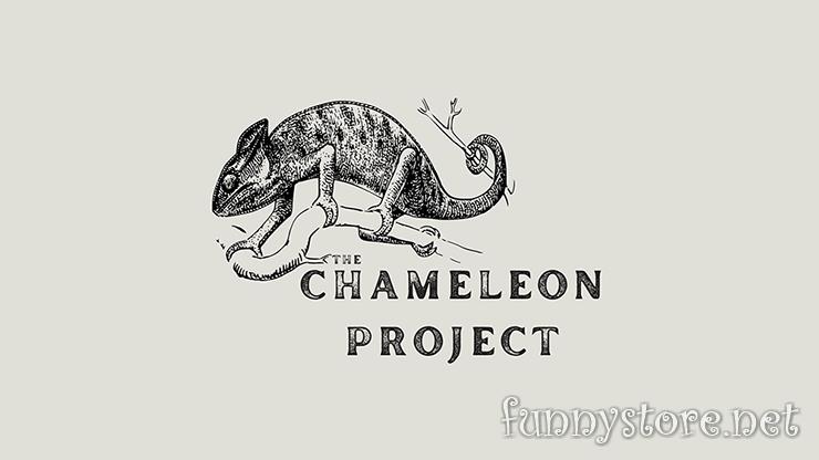 (image for) Michael Shaw - The Chameleon Project
