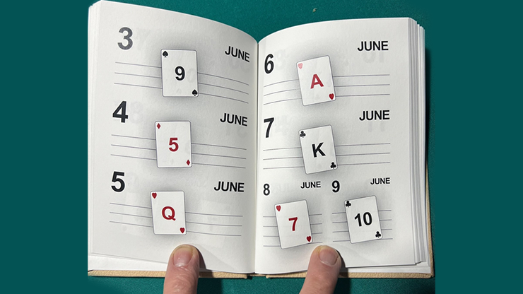 (image for) Leo Smetsers - LS Diary