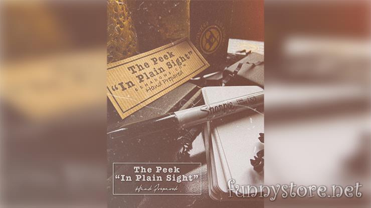 (image for) Casper Ryan - The Peek- In Plain Sight
